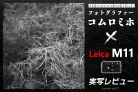 Leica M11 レビュー × コムロミホ | ライカM11を持って瀬戸内・尾道スナップ旅 イメージ